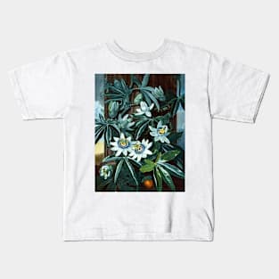 Blue Passion Flower 1799 Robert John Thornton Kids T-Shirt